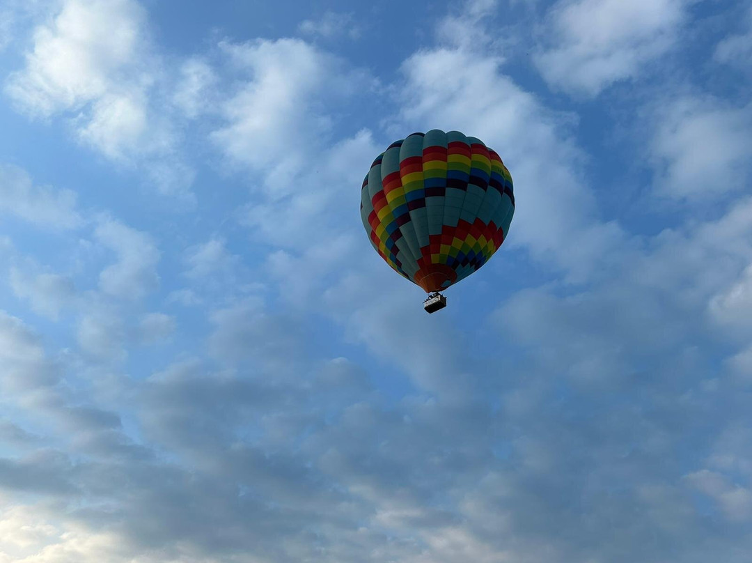 Slowfly景点图片