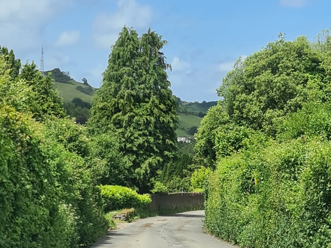 21 Mile Drive景点图片