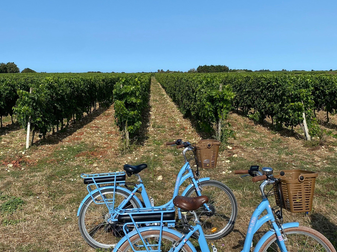 Les Lits Marins主图