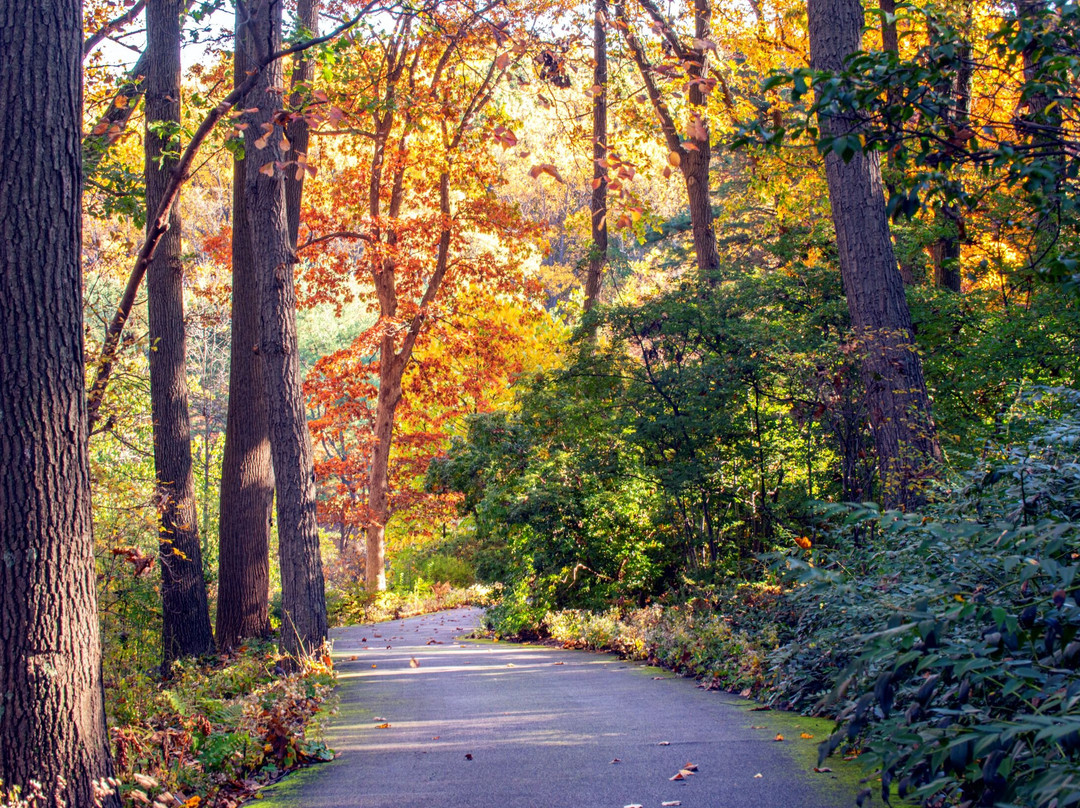 Jenkins Arboretum & Gardens-Devon必去景点