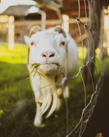 Kilby Historic Site-Harrison Mills必去景点