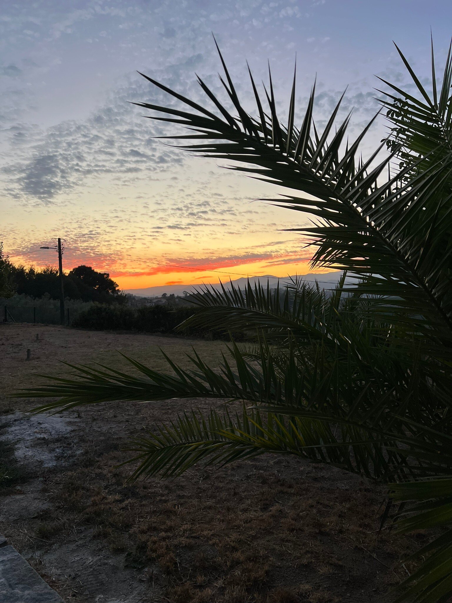 Quinta De Mocamedes-官方