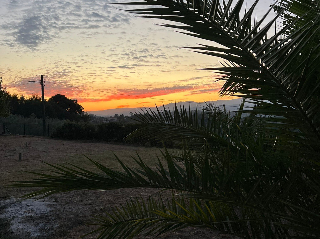 Quinta De Mocamedes主图