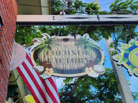 Island Safari Rentals-基韦斯特必去景点