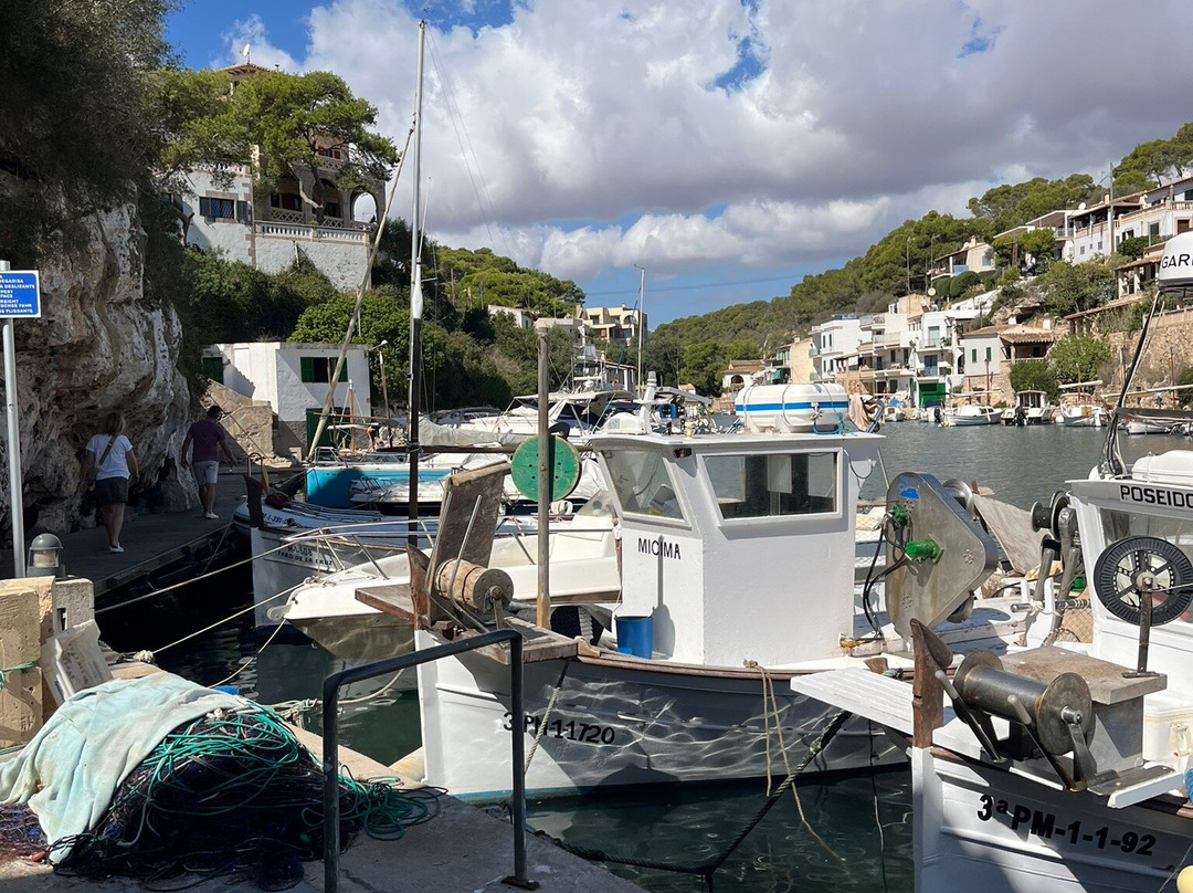 Puerto De Cala Figuera-Cala Figuera必去景点