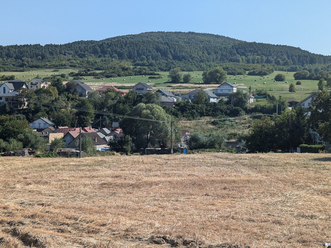 Slovak Tour Guide  Day Tours-Presov必去景点