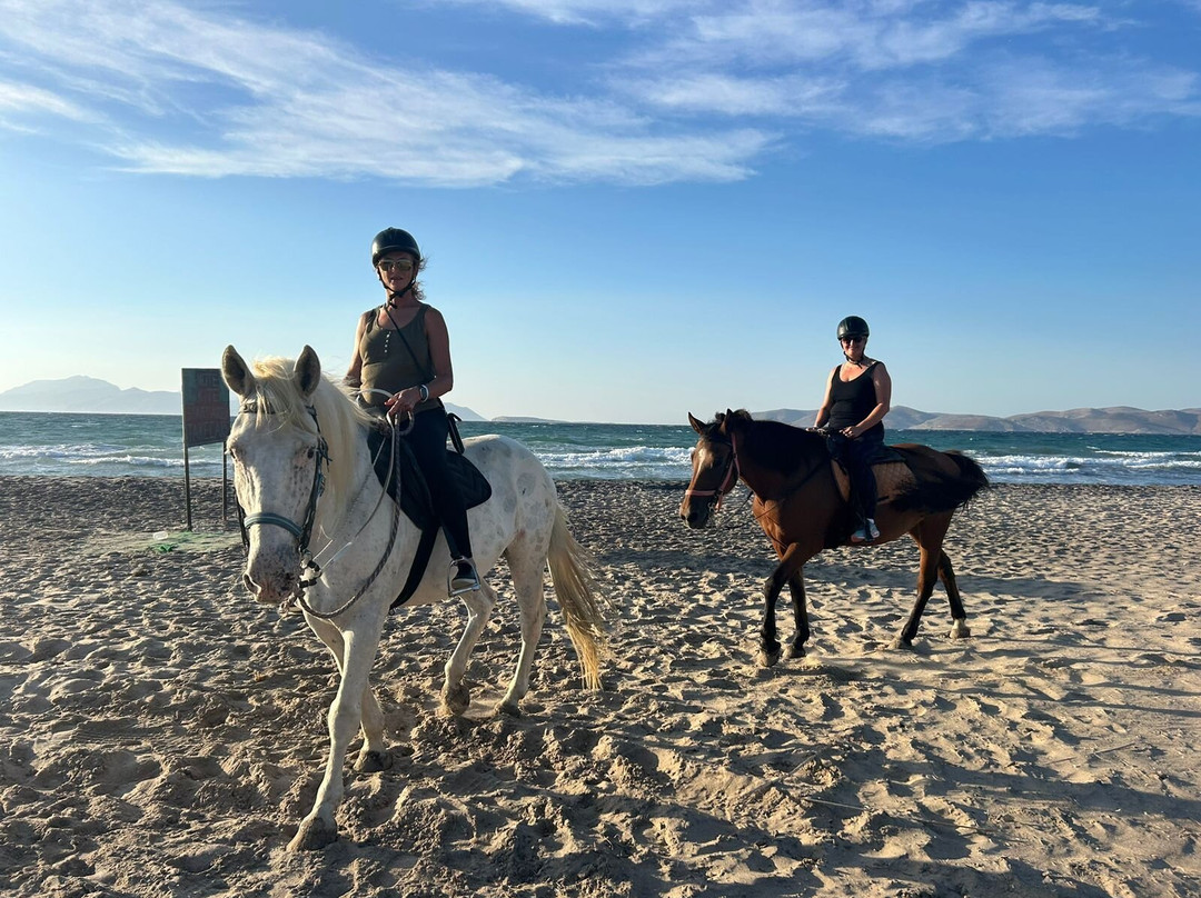The Ranch Kos Horse Riding景点图片