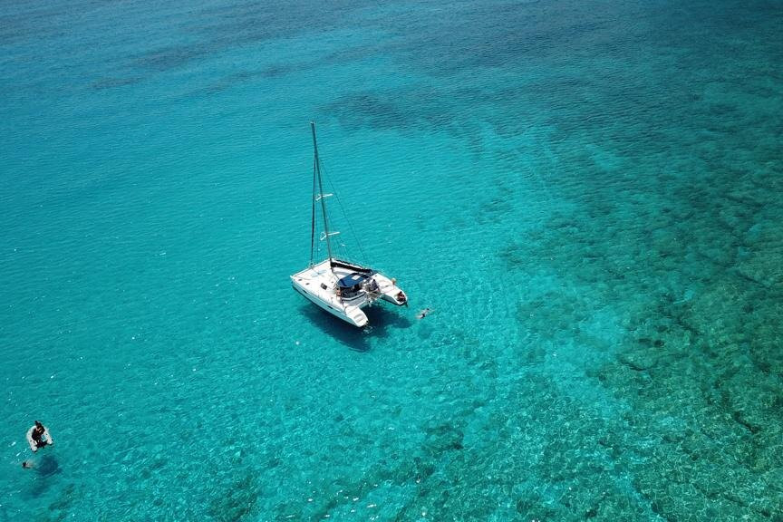 Dolphin Tours Rhodos