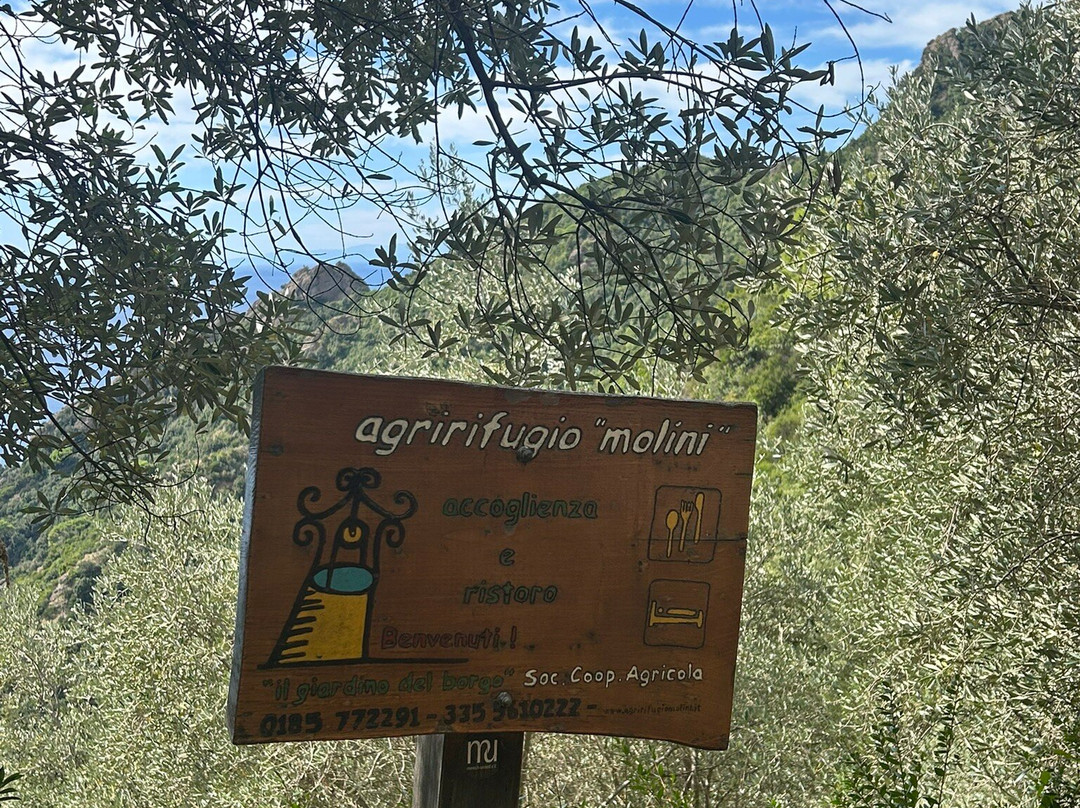 Agririfugio Molini主图