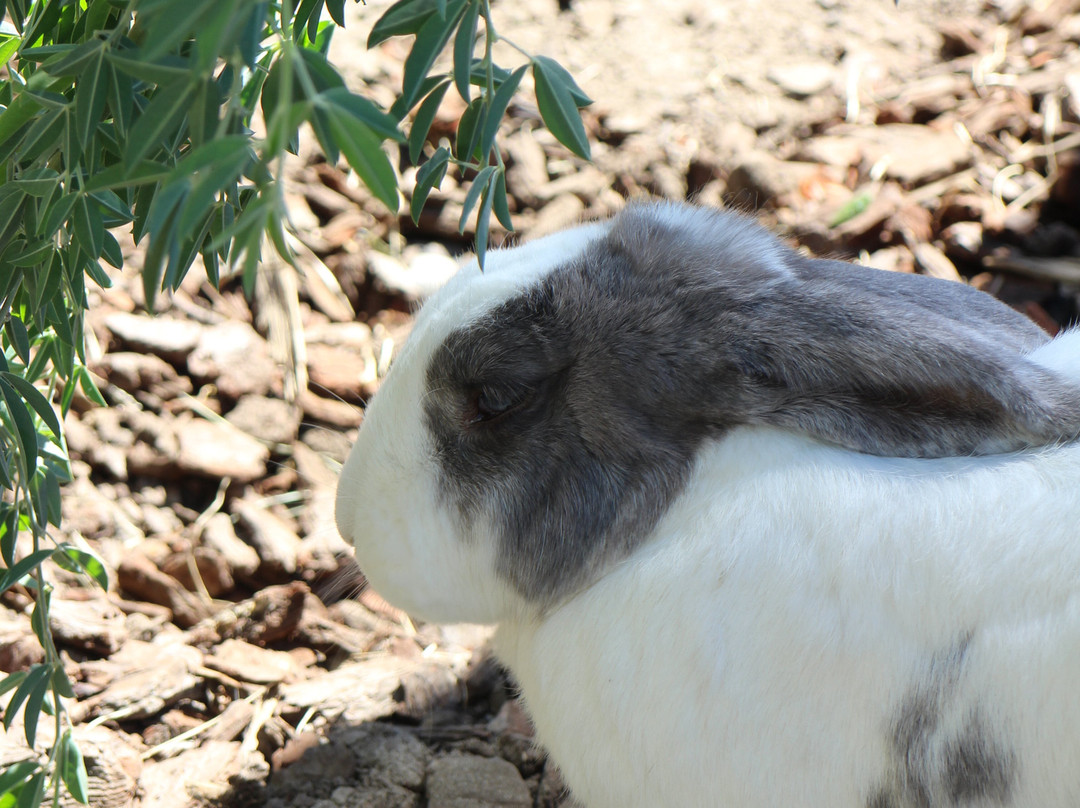 Natureland Zoo景点图片