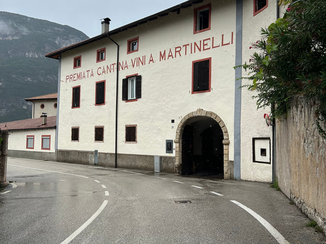 Cantina A. Martinelli 1860-Mezzocorona必去景点