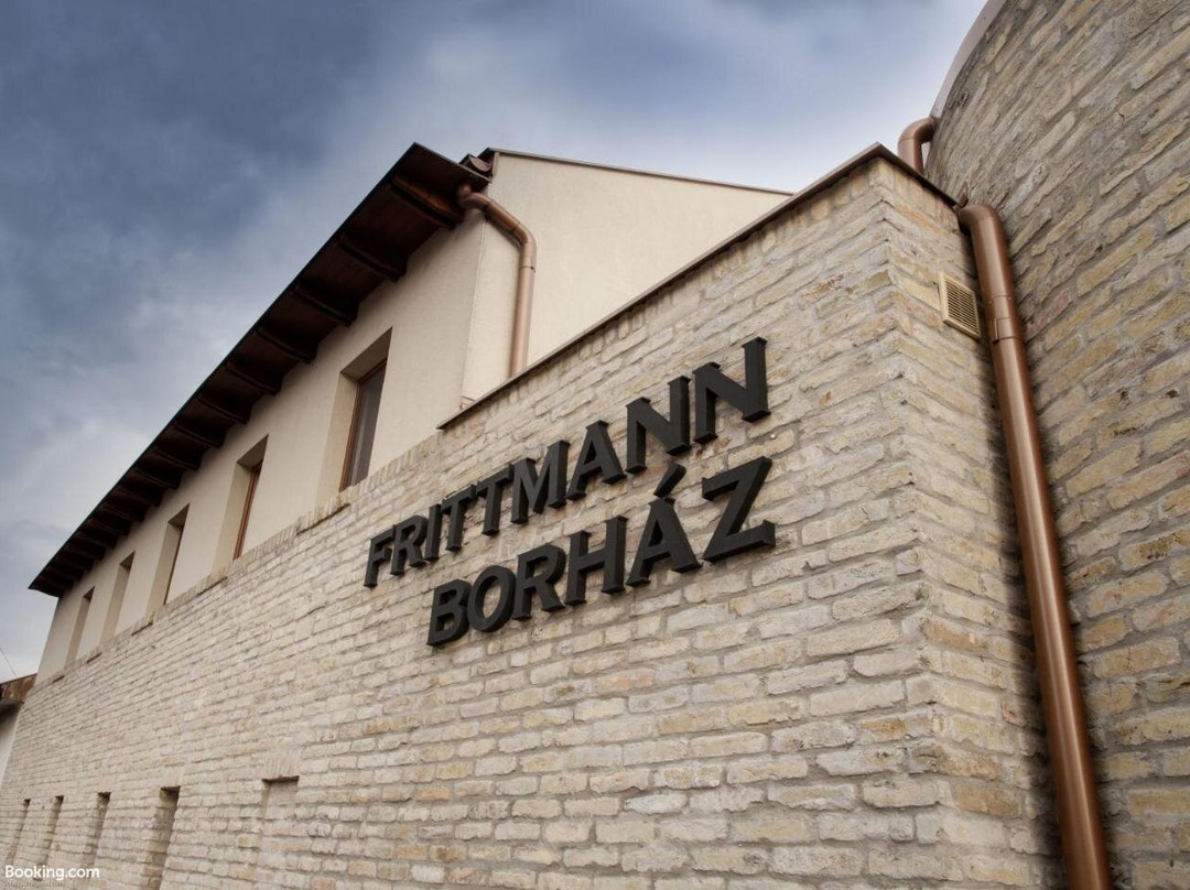 Frittmann Boraszat es Panzio主图
