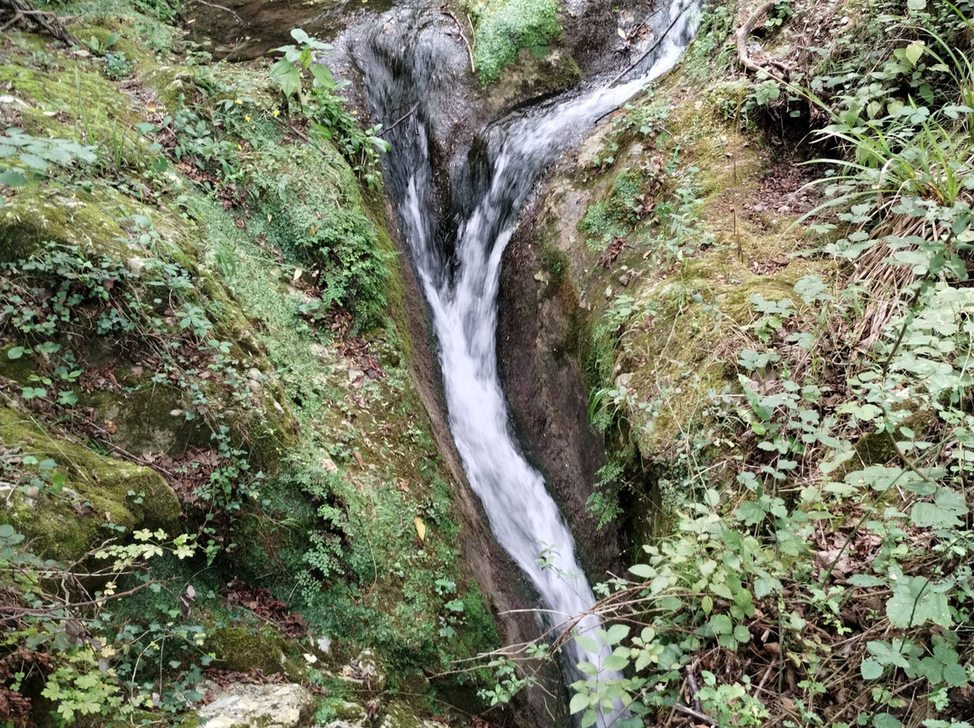 Alento River景点图片