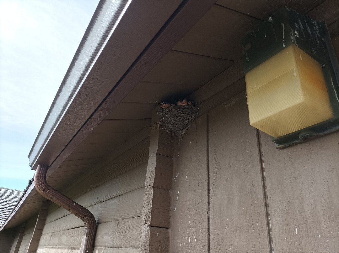 North American Bison Discovery Center-Jamestown必去景点