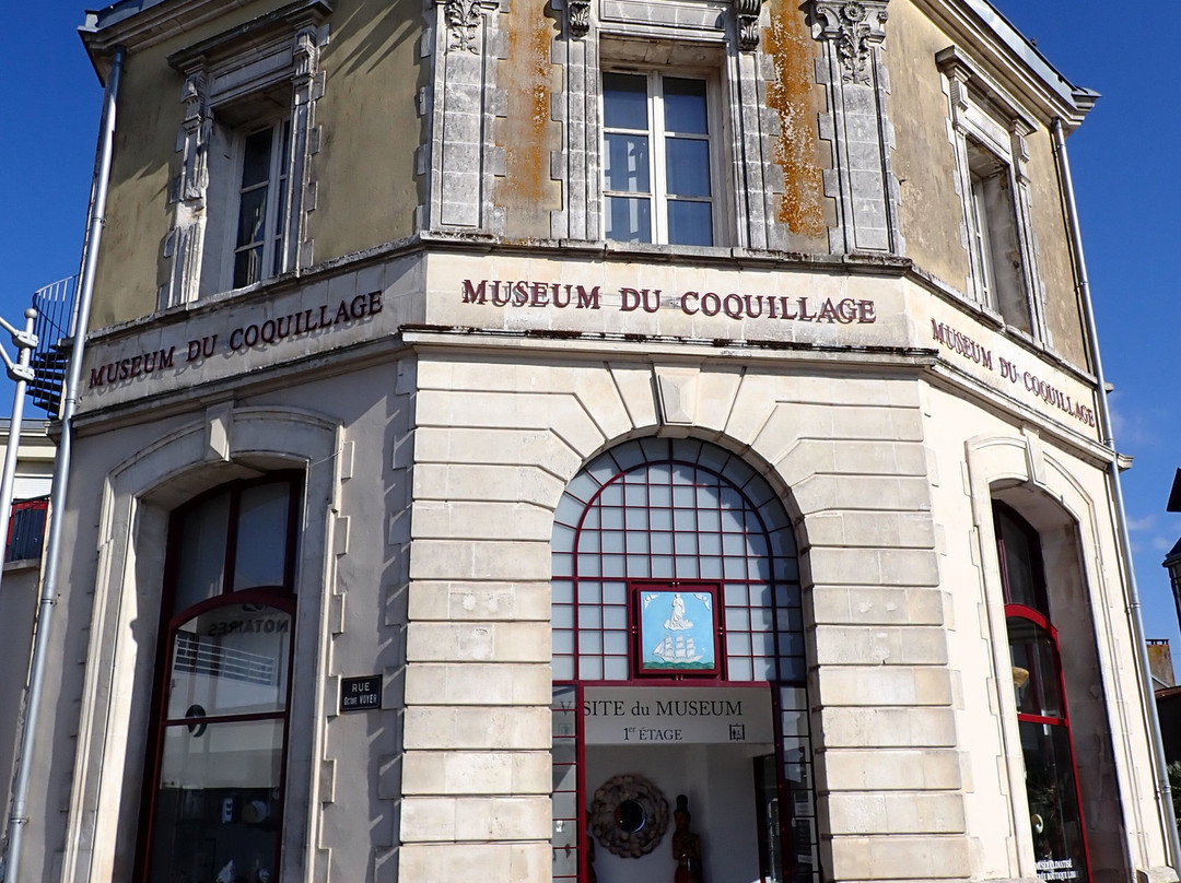 Museum du Coquillage景点图片