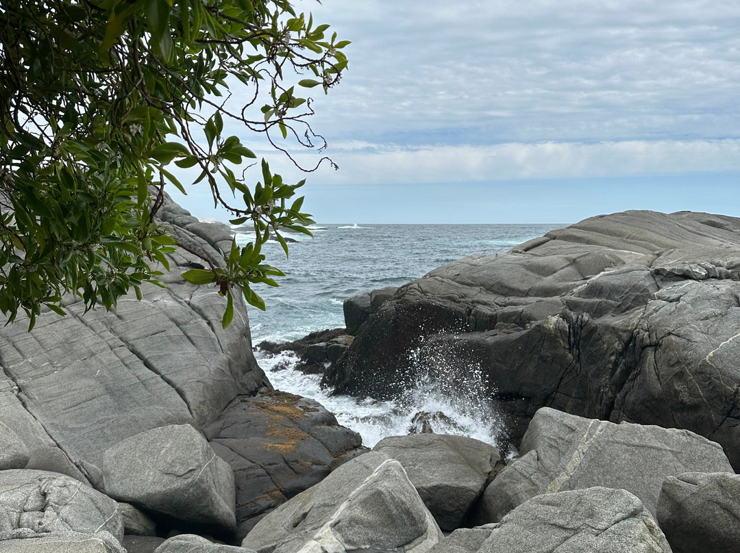 Playa Las Cujas-萨帕亚尔必去景点