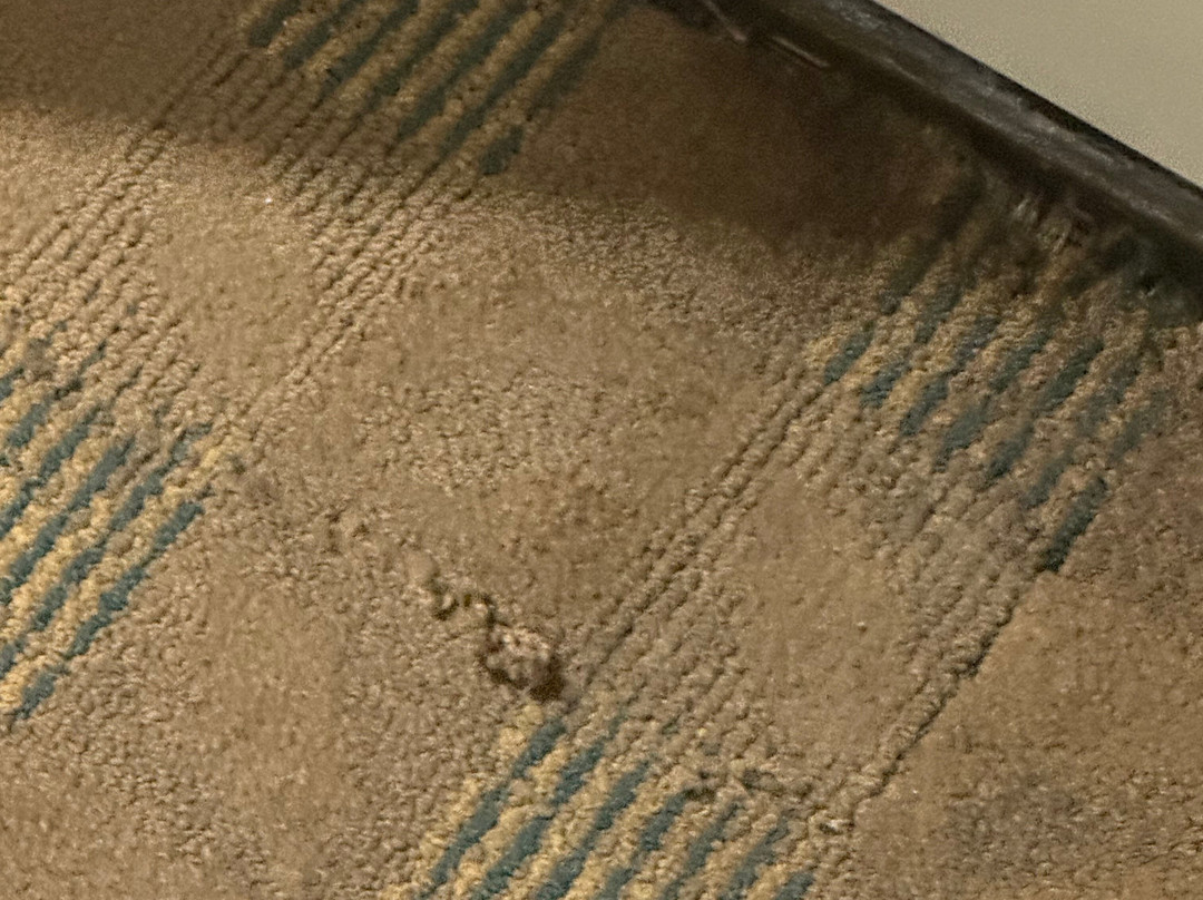 Embassy Suites by Hilton Corpus Christi主图