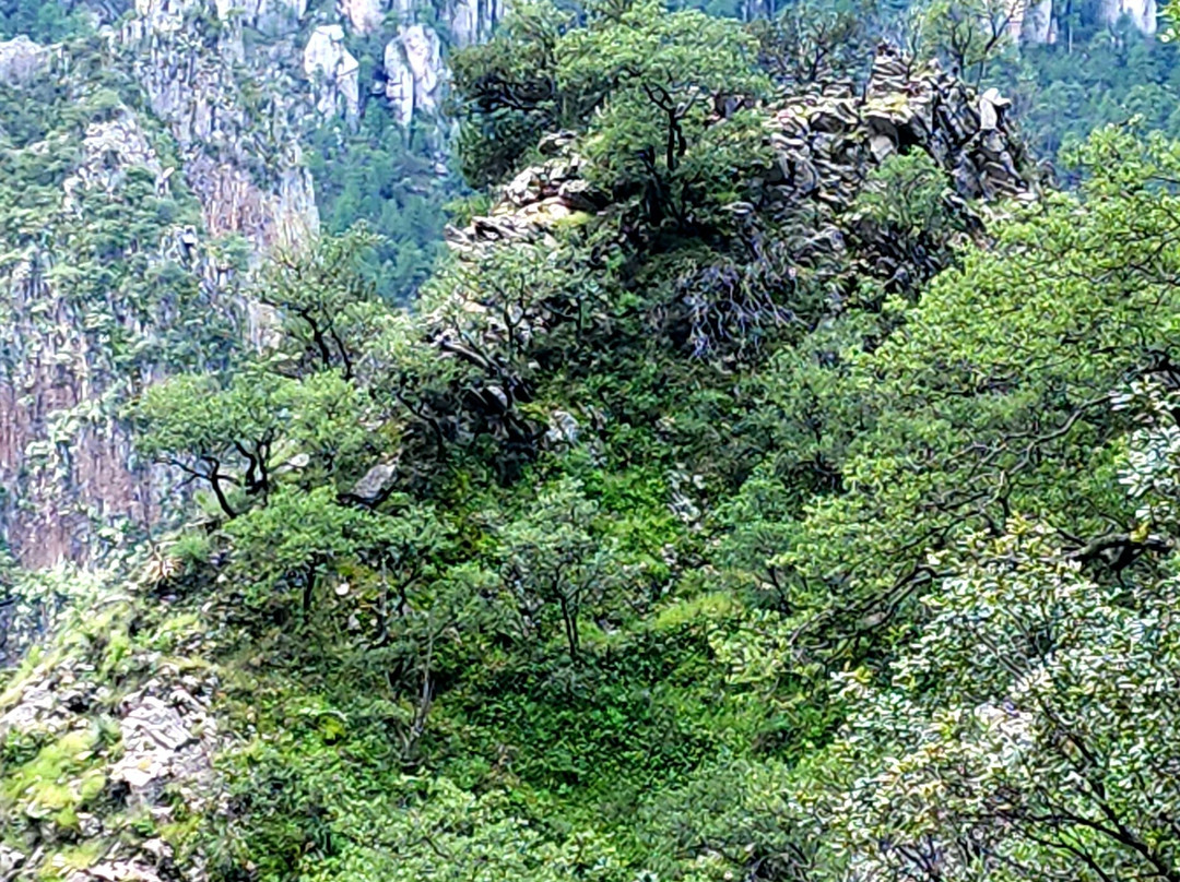 Cascada de Basaseachi National Park景点图片