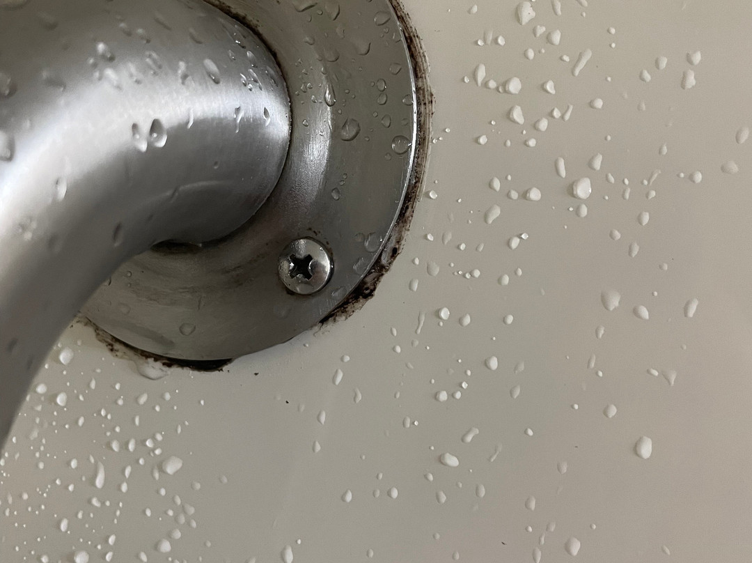 贝斯特韦斯特布拉德伯里旅馆&套房酒店主图