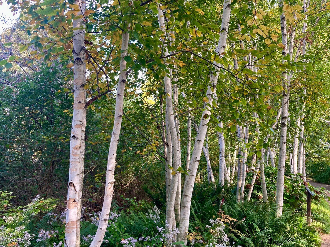 奥布里希热带植物园-麦迪逊必去景点