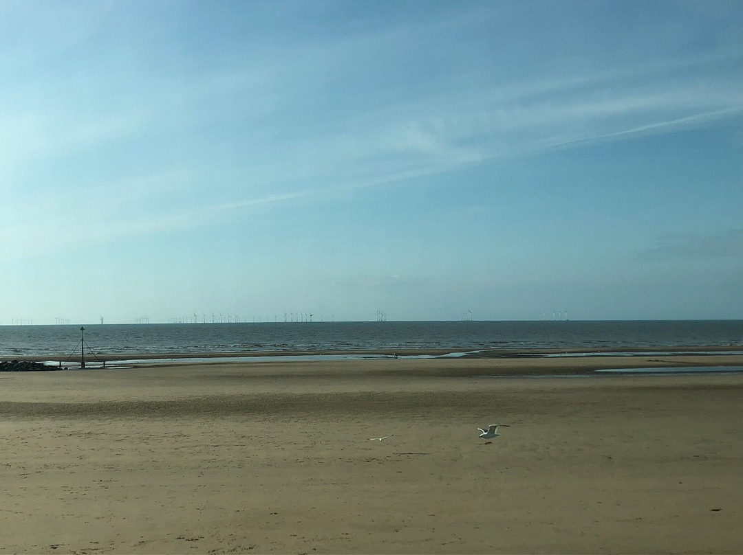 Central Beach景点图片