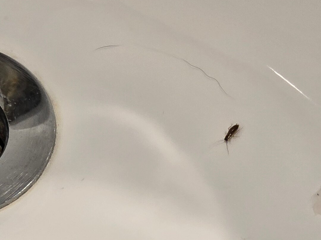 温德姆速8酒店奥马哈I-80西主图