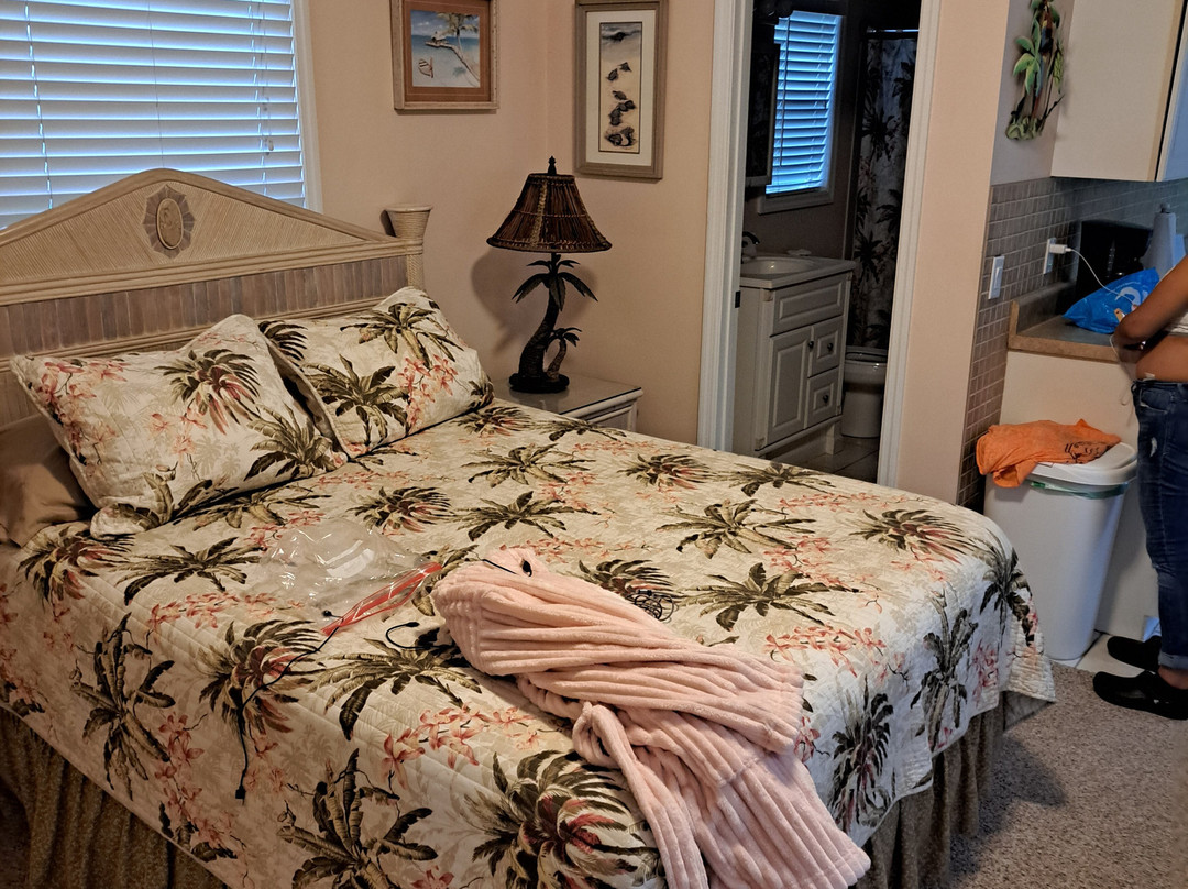 Driftwood Motel主图