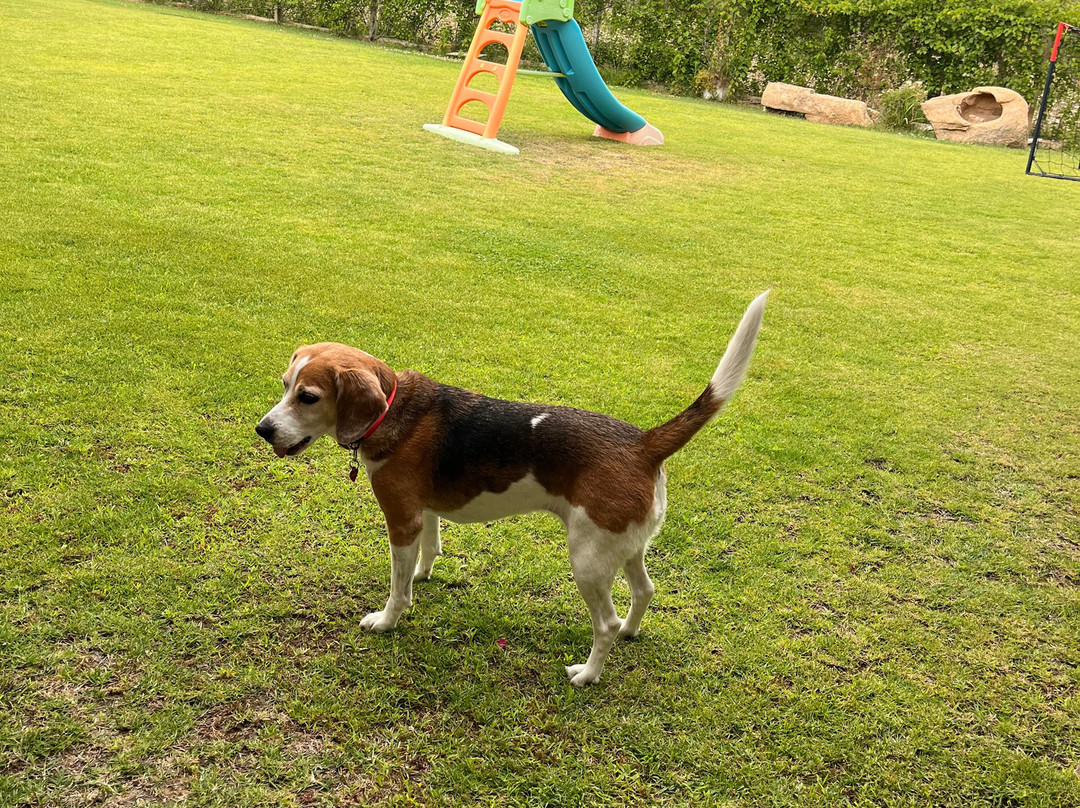 Agriturismo Sa Costa主图