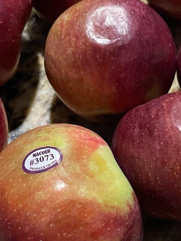 Lyman Orchards-Middlefield必去景点