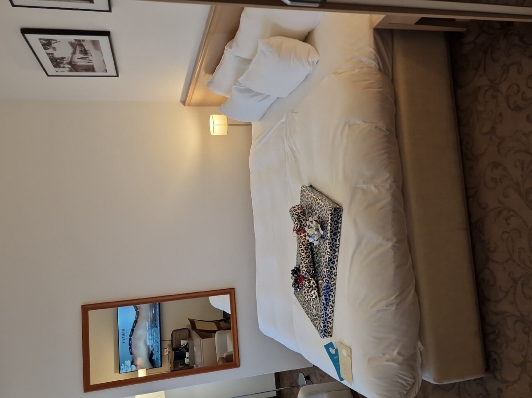 Harvey Spa Hotel主图