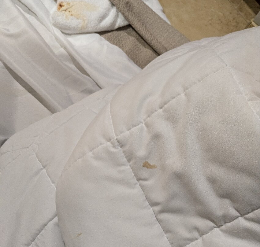 Hampton Inn Rock Hill主图