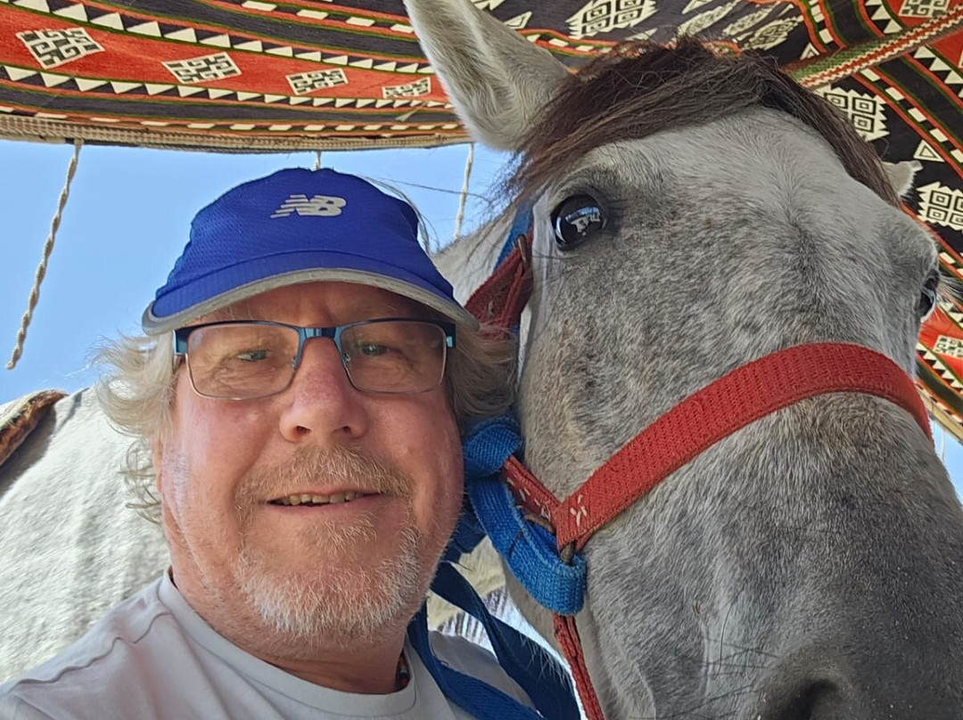 Dahabiya Hadeel-亚斯文必去景点