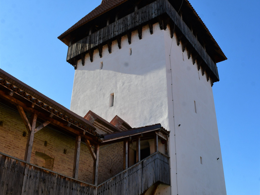 Steingasser Tower-梅迪亚什必去景点