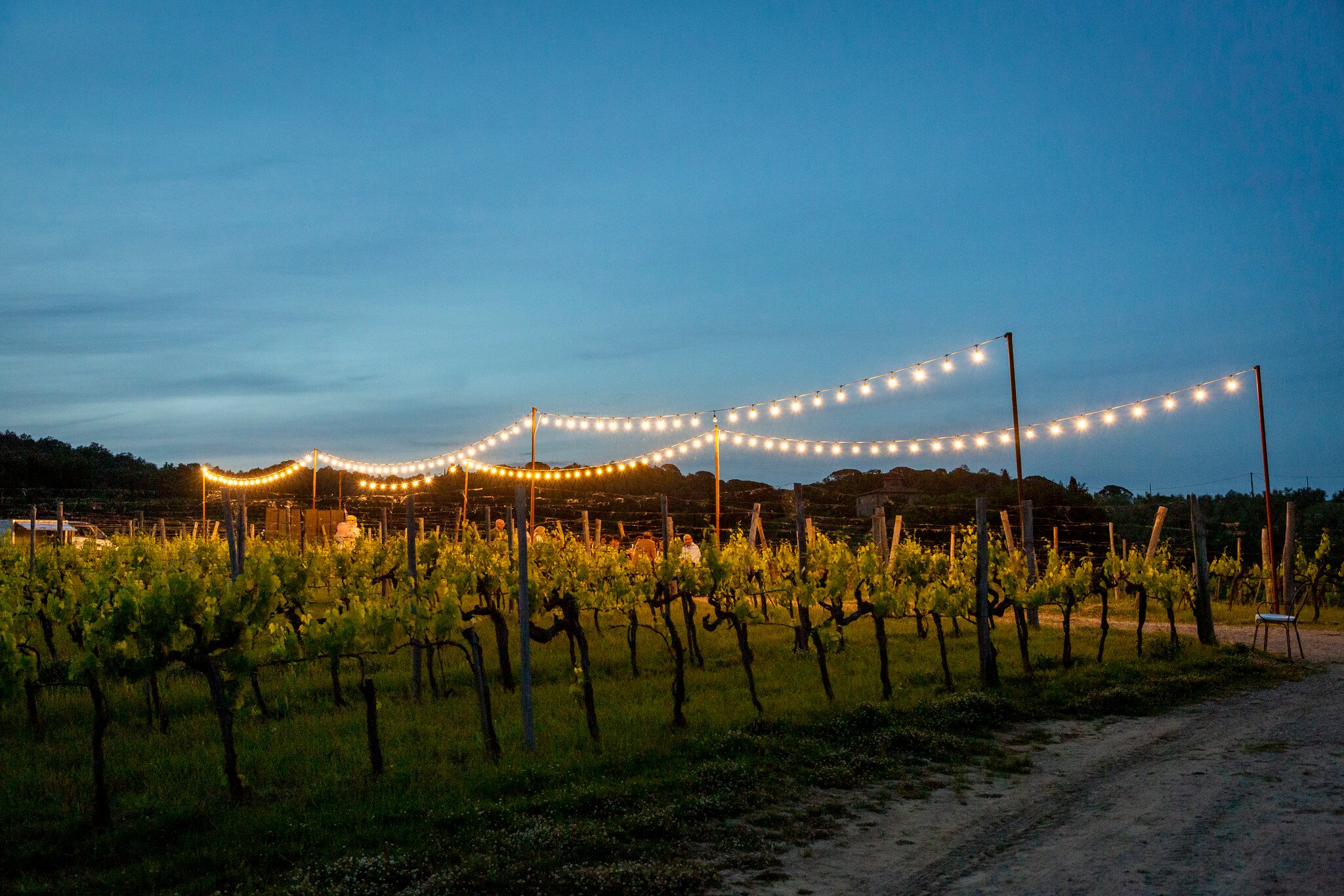 Palagina - La Cascina-餐饮