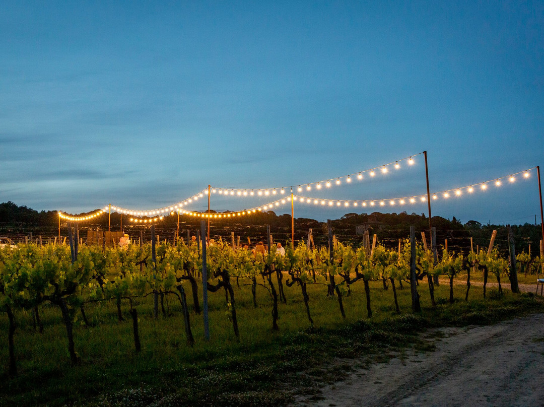 Palagina - La Cascina主图