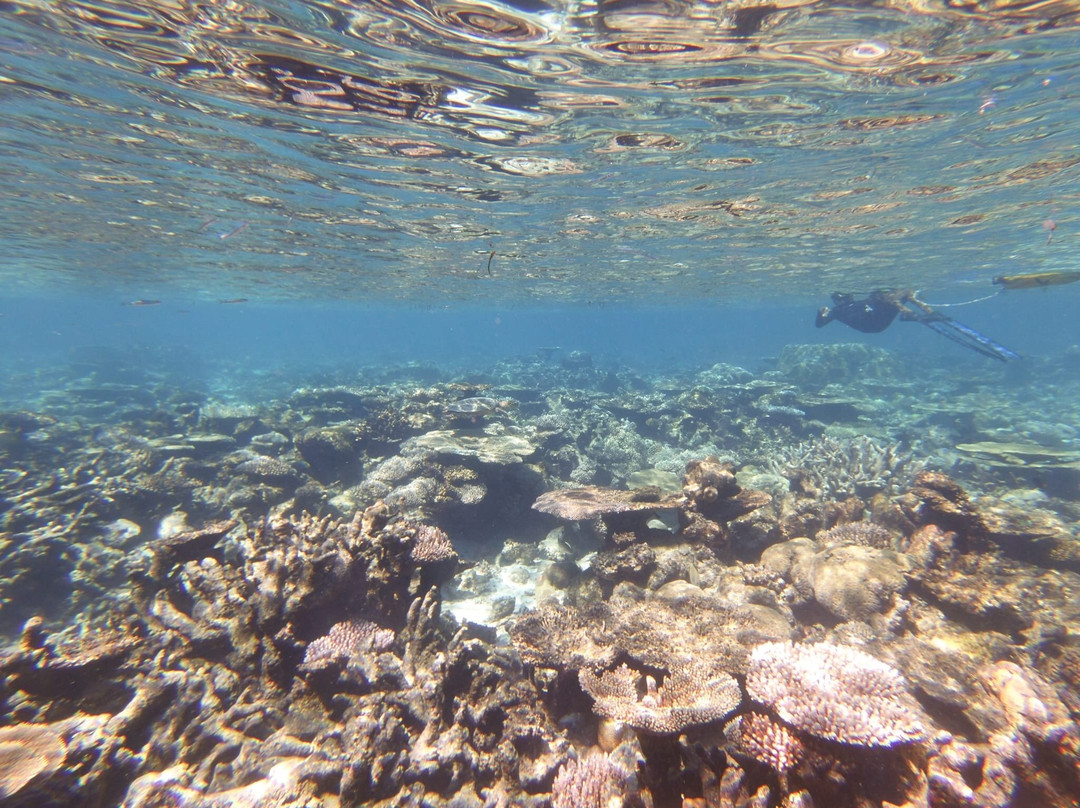 Deep Blue Divers-拉姆环礁必去景点