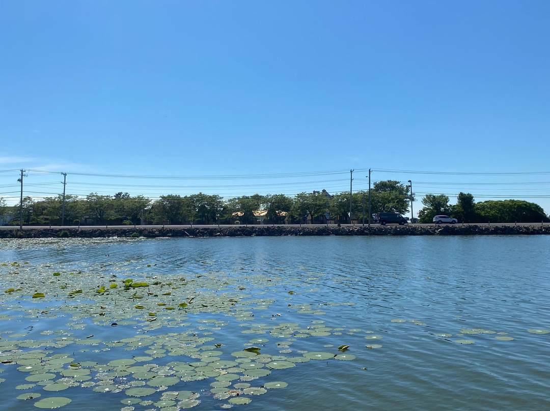 Pipe Creek Wildlife Area-桑达斯基必去景点