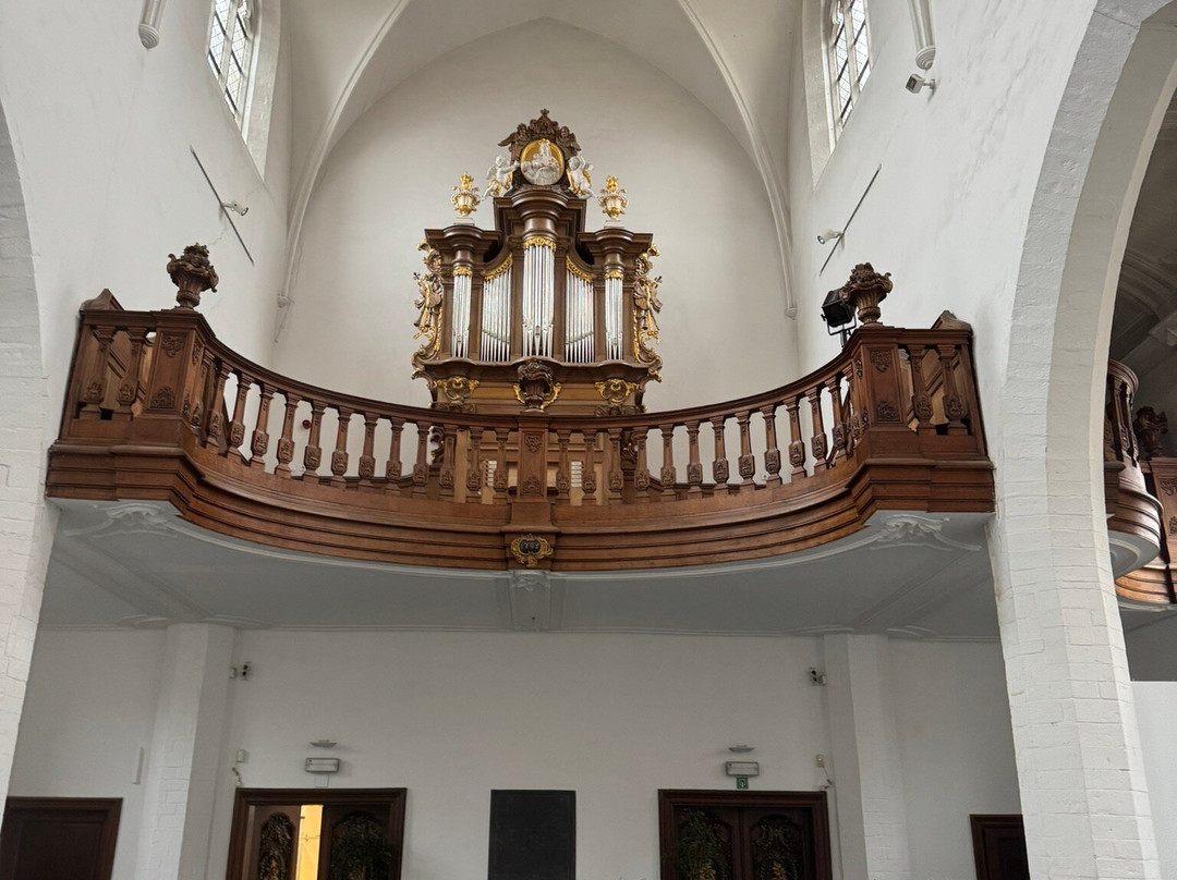Onze-Lieve-Vrouw-ten-Predikherenkerk景点图片