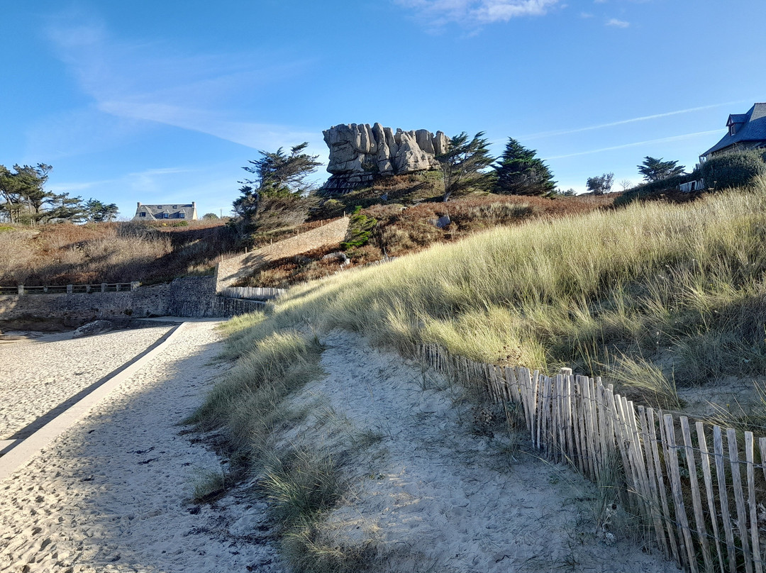 Plage de la Greve Blanche景点图片