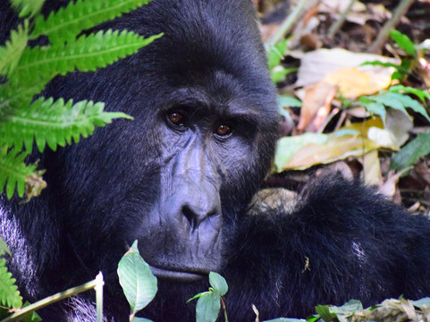 Tugye Tours and Travel