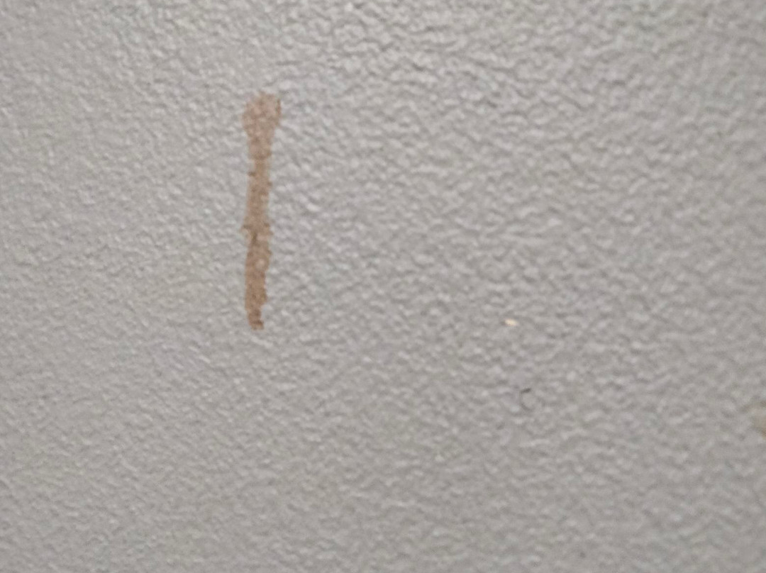 胡勃舒适套房酒店主图