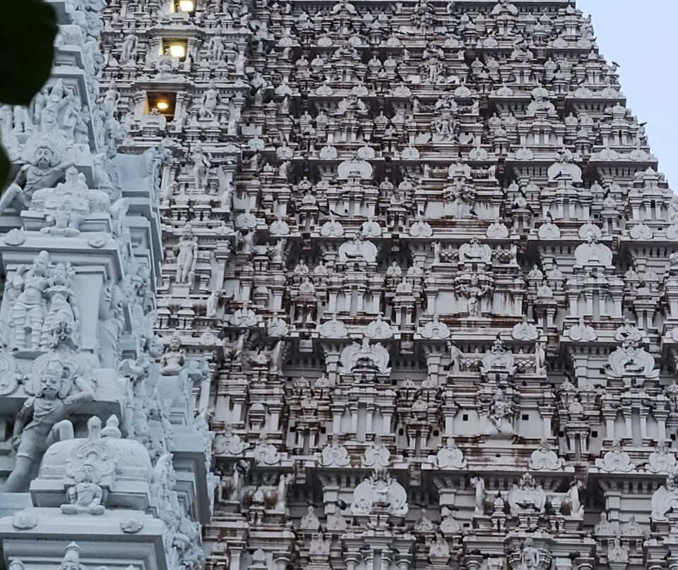 Sparsa Thiruvannamalai主图