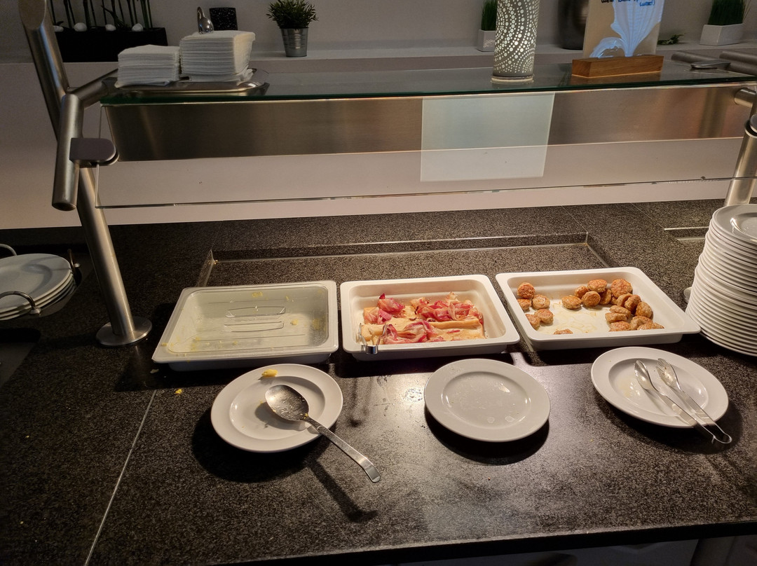 卡塞尔温德姆花园酒店主图