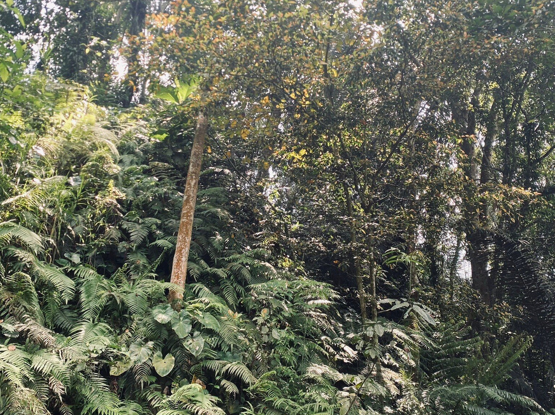 Pura Mengening Kelusa-吉安雅必去景点