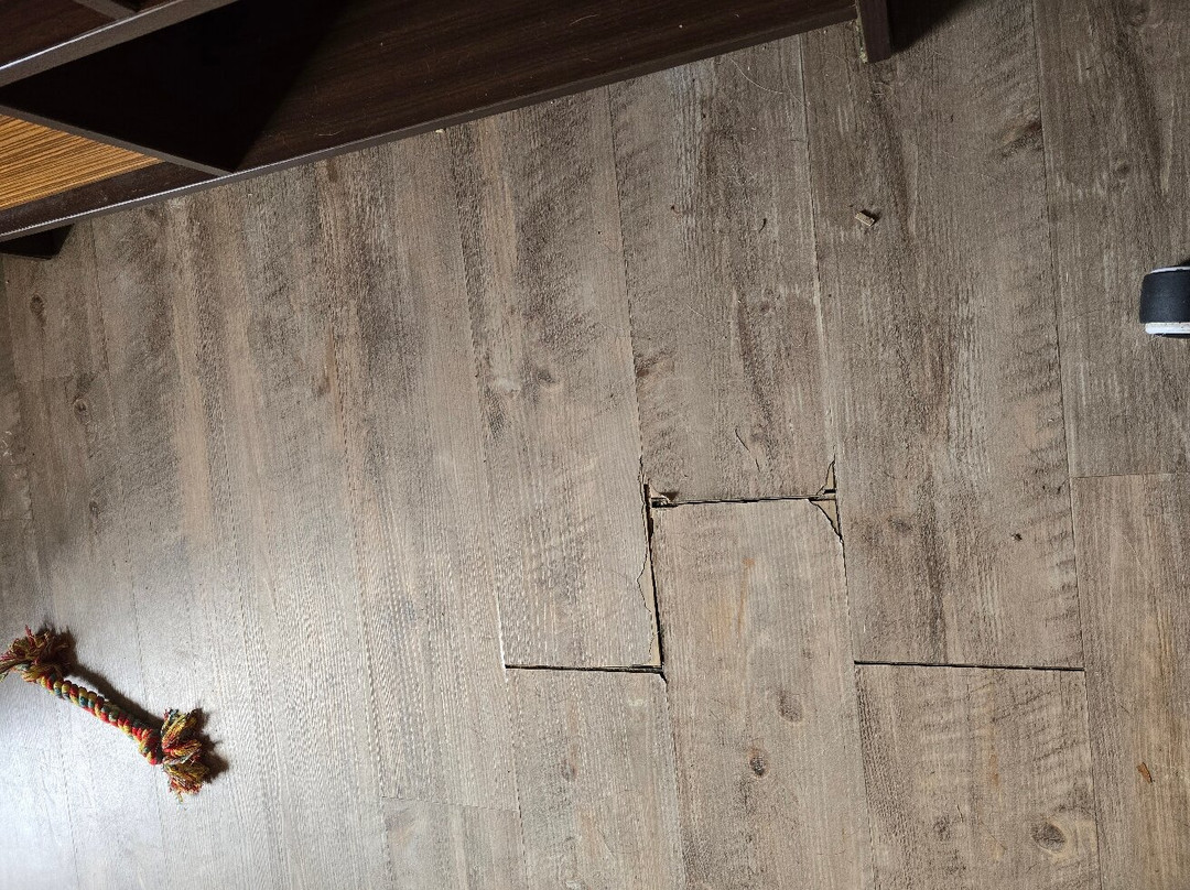 Super 8 by Wyndham Elizabethtown主图