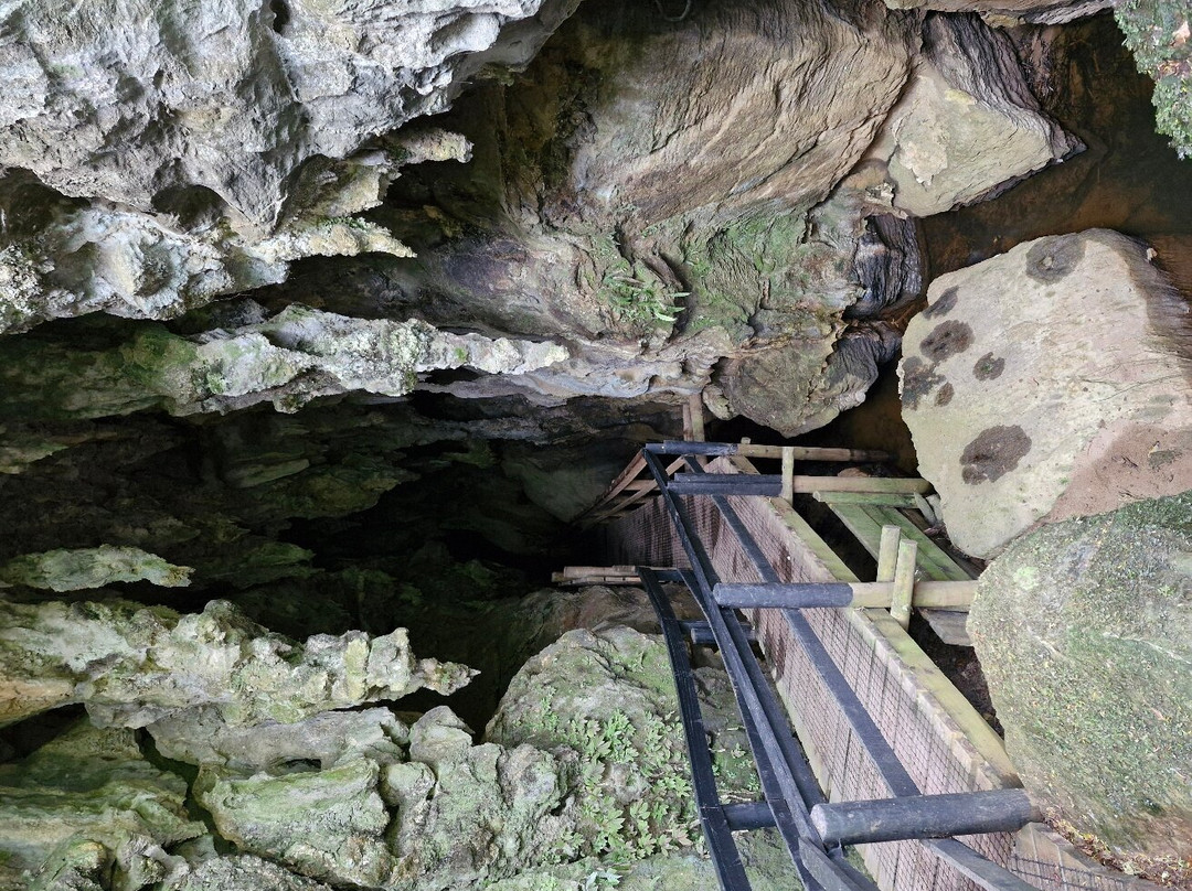 Kawiti Glow Worm Caves景点图片