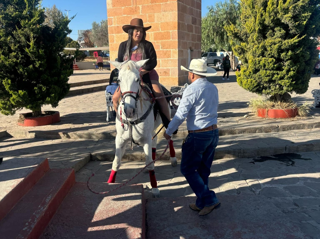 Santuario de Plateros-Fresnillo必去景点