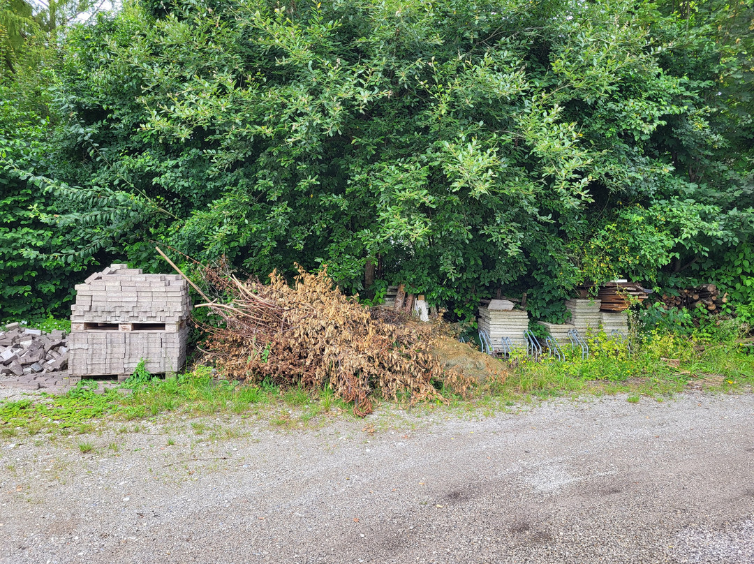 Kur- und Sporthotel Angerhof主图