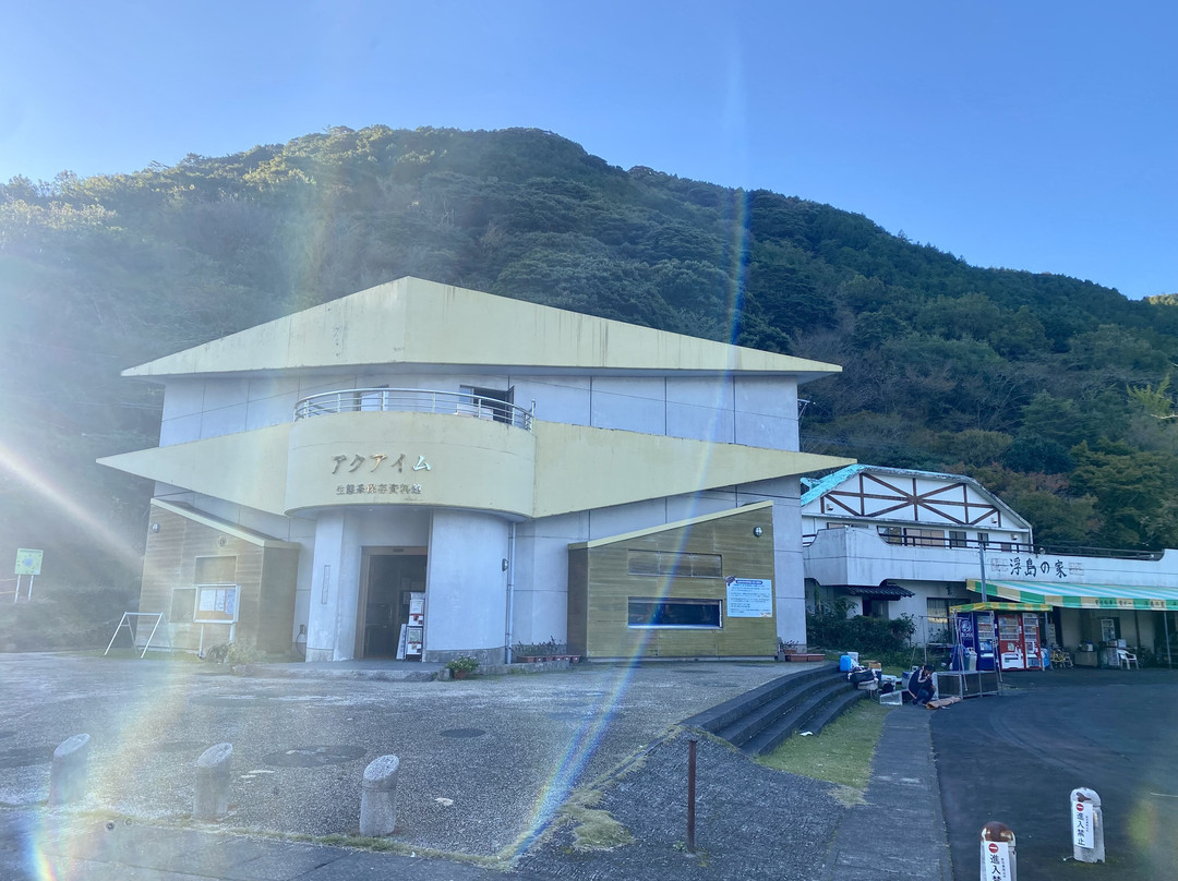 Imuta Pond-萨摩川内市必去景点