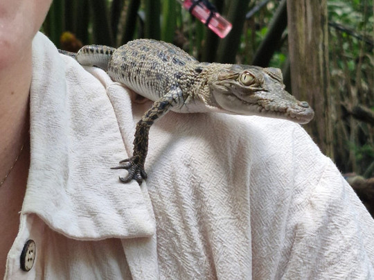 Riu Manga Tours-亚洪加拉必去景点